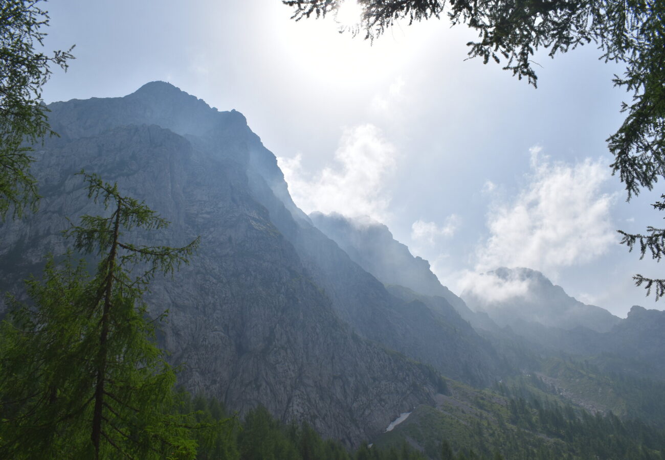 Panorama con montagna che sovrasta una foresta con nuvole sulla cresta